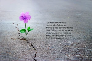 La Resiliencia en el Emprendimiento: ¡Tu Clave Para Vencer Todo Obstáculo!